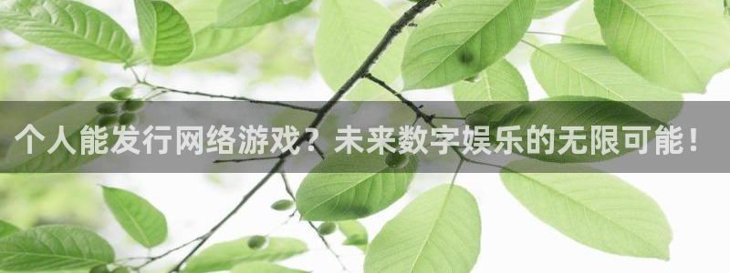 陕西省西安市杏耀子文化创意：个人能发行网络游戏？未来数字娱乐的无限可能！