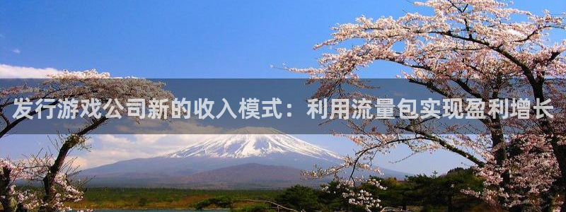 杏耀子 到底怎么样：发行游戏公司新的收入模式：利用流量包实现盈利增长