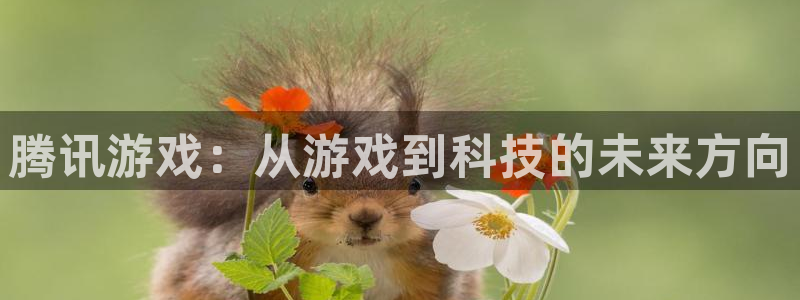 杏耀啤酒多少钱一箱：腾讯游戏：从游戏到科技的未来方向