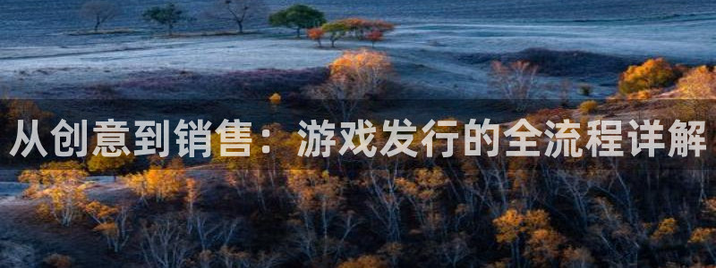 杏耀多少钱：从创意到销售：游戏发行的全流程详解