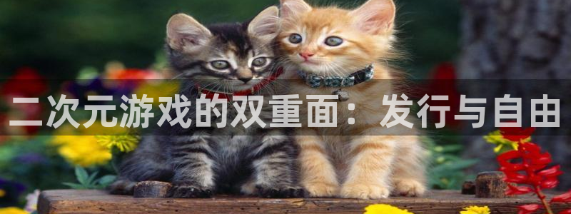 陕西杏耀子文化创意有限公司是做什么的：二次元游戏的双重面：发行与自由