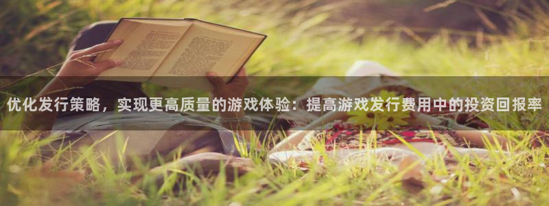 杏耀电子商务有限公司：优化发行策略，实现更高质量的游戏体验：提高游戏发行费用中的投资回报率