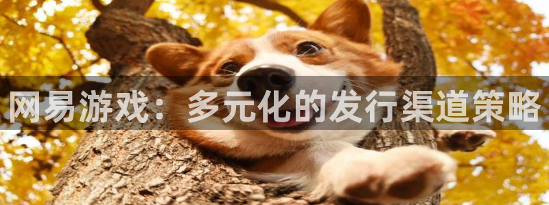 杏耀子教育科技(江门)有限公司：网易游戏：多元化的发行渠道策略