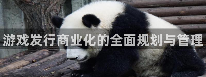 杏耀官网是境外的吗：游戏发行商业化的全面规划与管理