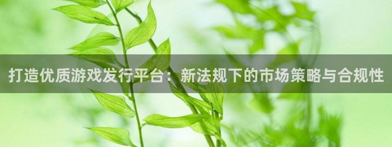 杏耀官网注册地址在哪里啊：打造优质游戏发行平台：新法规下的市场策略与合规性