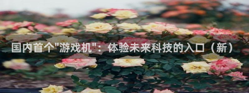 杏耀官网登录注册失败：国内首个\