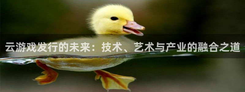 杏耀官网怎么注册账号：云游戏发行的未来：技术、艺术与产业的融合之道