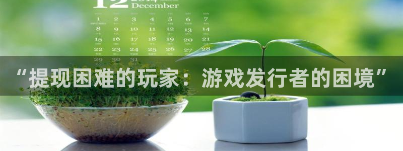 杏耀官网主营业务