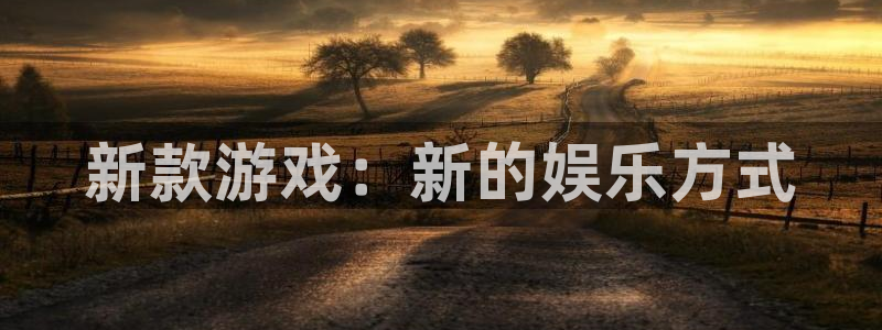 江苏杏耀人力资源有限公司怎么样：新款游戏：新的娱乐方式