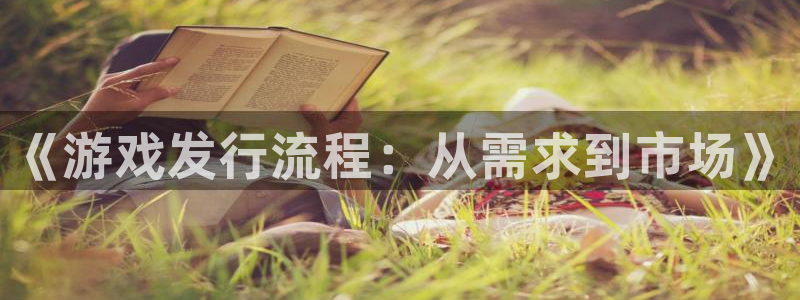 杏耀技术有限公司官网：《游戏发行流程：从需求到市场》