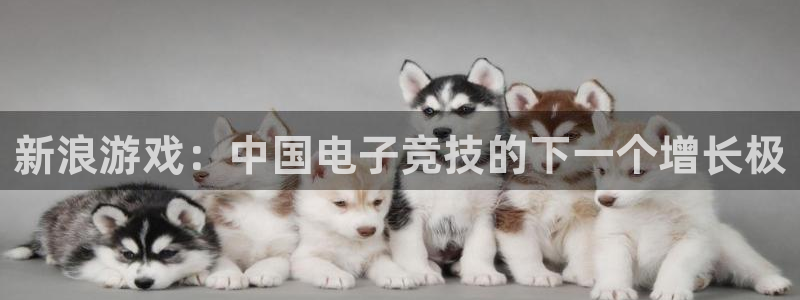 杏耀集团董事长刘一辰简历