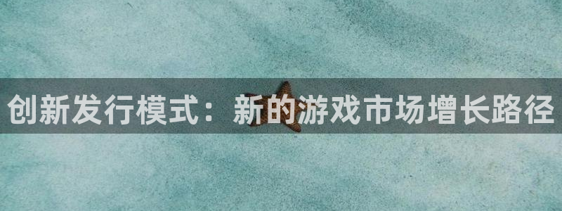 杏耀技术有限公司招聘：创新发行模式：新的游戏市场增长路径