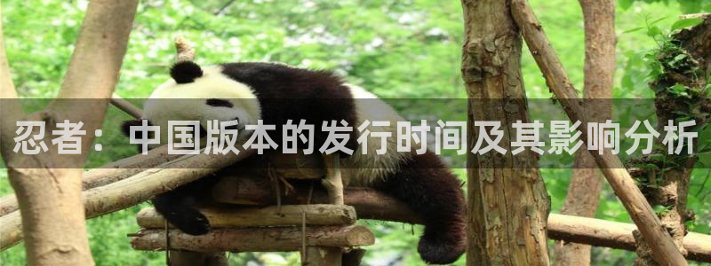 杏耀电子商务有限公司怎么样啊：忍者：中国版本的发行时间及其影响分析