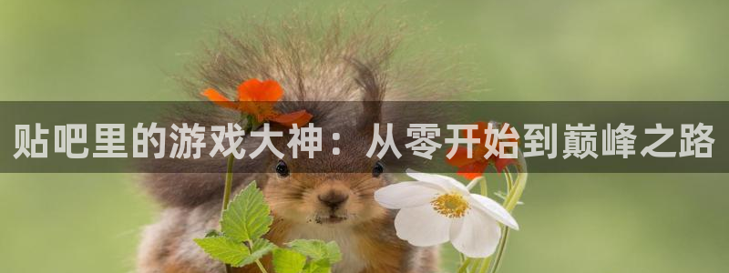 杏耀官网注册平台怎么注册不了：贴吧里的游戏大神：从零开始到巅峰之路