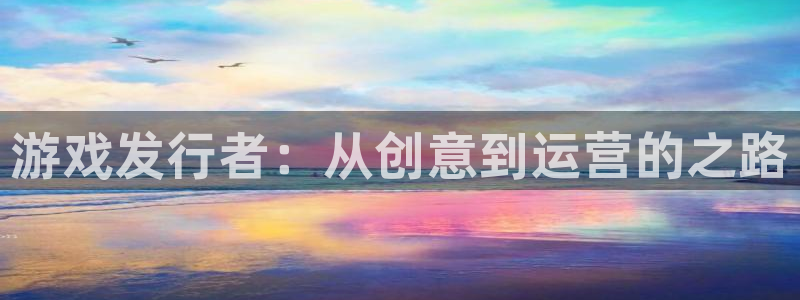 杏耀子经理人读后感：游戏发行者：从创意到运营的之路