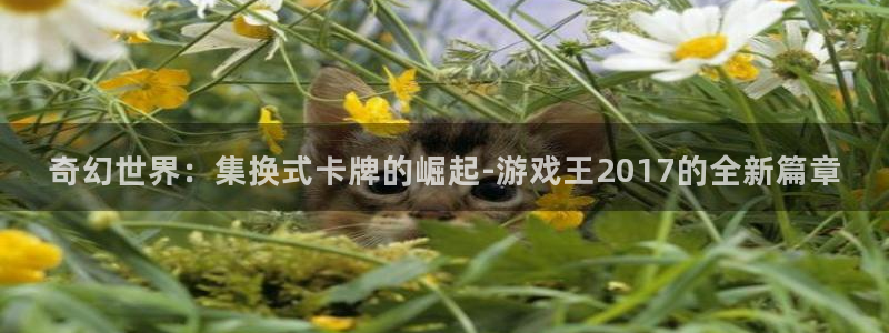 杏耀官网代理开号多少钱